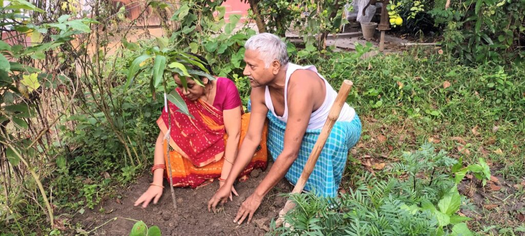 MADHUBANI NEWS :लखटकिया आम से महक रहा है लालगंज का बगीचा – किसान अविनाश ने रचा फलोद्यान का अद्भुत संसार”