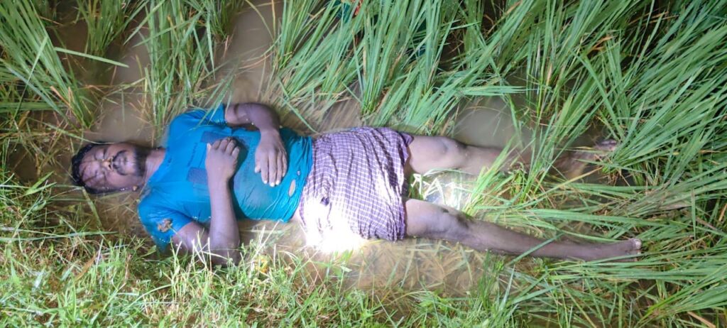 Jamshedpur News:बहरागोड़ा प्रखंड के धानघोरी में ठनका गिरने से एक व्यक्ति की मौत