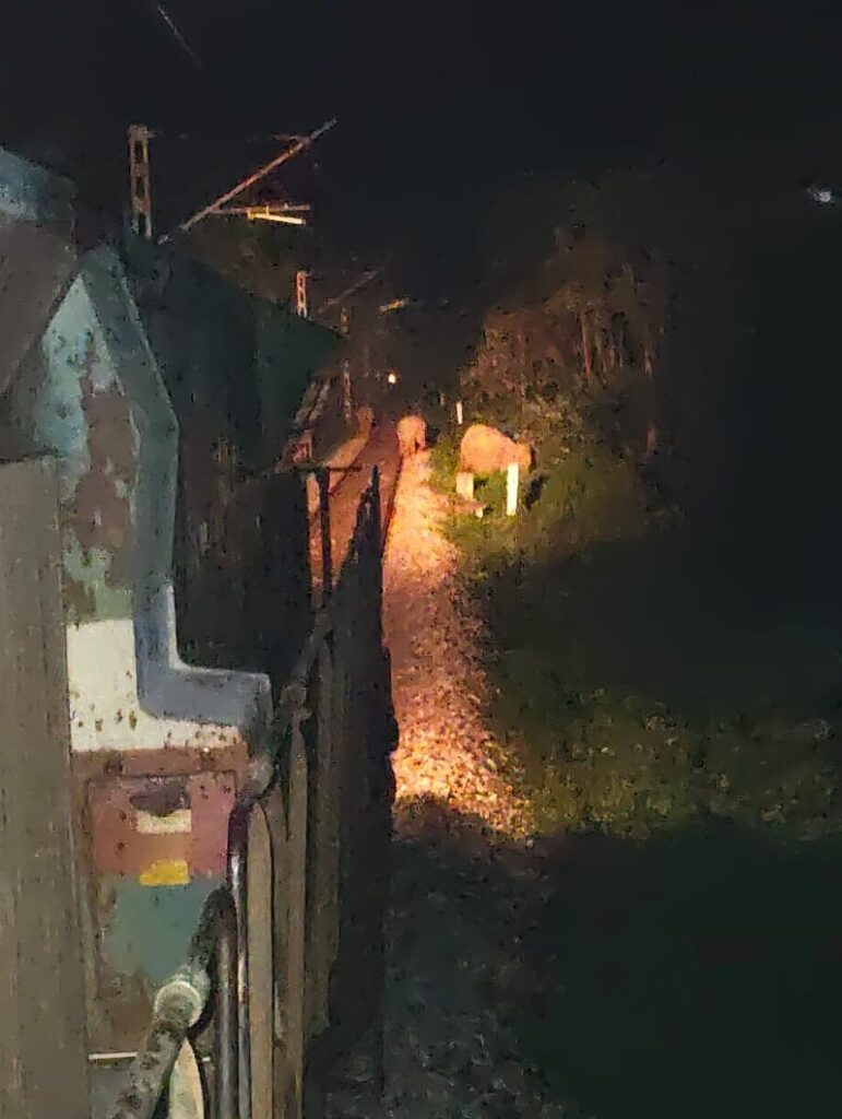 SOUTH EASTERN RAILWAY :SER PRIORITIZE ELEPHANT SAFETY -TRAIN MOVEMENTS TEMPORARILY HALTED FOR SAFE PASSAGE OF HERD